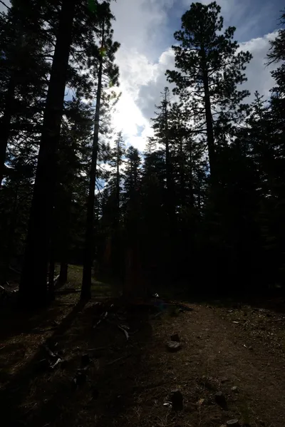 DSC_3257 (Large).JPG